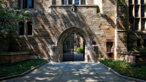 Institution Universität Yale
