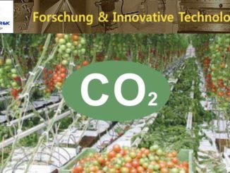CO2 Pflanzenwachstum