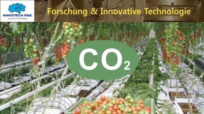 CO2 Pflanzenwachstum