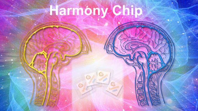 Harmony Chip - Alles Rauschen